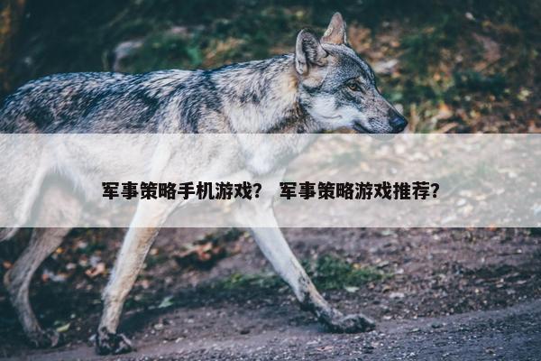 军事策略手机游戏？ 军事策略游戏推荐？