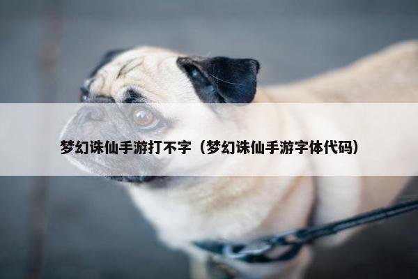梦幻诛仙手游打不字（梦幻诛仙手游字体代码）
