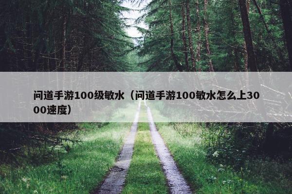 问道手游100级敏水（问道手游100敏水怎么上3000速度）