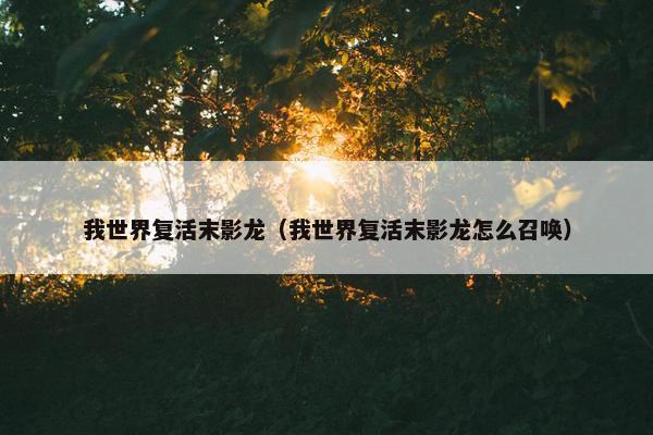 我世界复活末影龙（我世界复活末影龙怎么召唤）