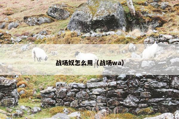 战场奴怎么用（战场wa）