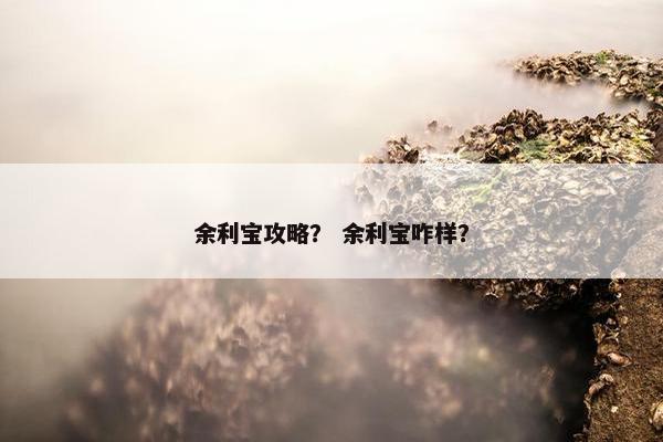 余利宝攻略？ 余利宝咋样？