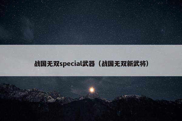 战国无双special武器（战国无双新武将）