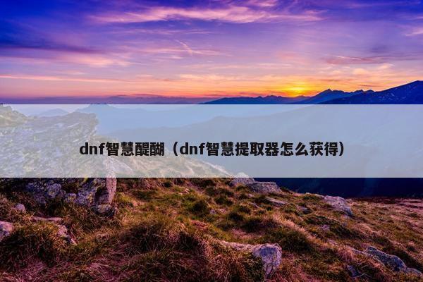dnf智慧醍醐（dnf智慧提取器怎么获得）