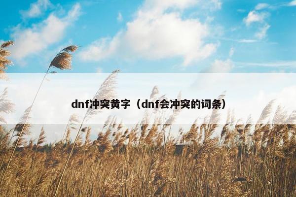 dnf冲突黄字（dnf会冲突的词条）