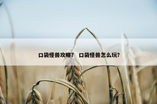 口袋怪兽攻略？ 口袋怪兽怎么玩？
