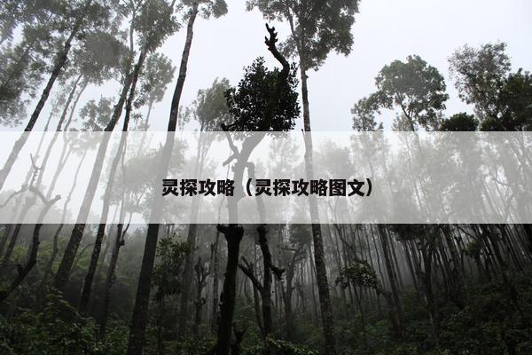 灵探攻略（灵探攻略图文）