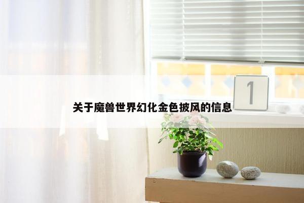 关于魔兽世界幻化金色披风的信息