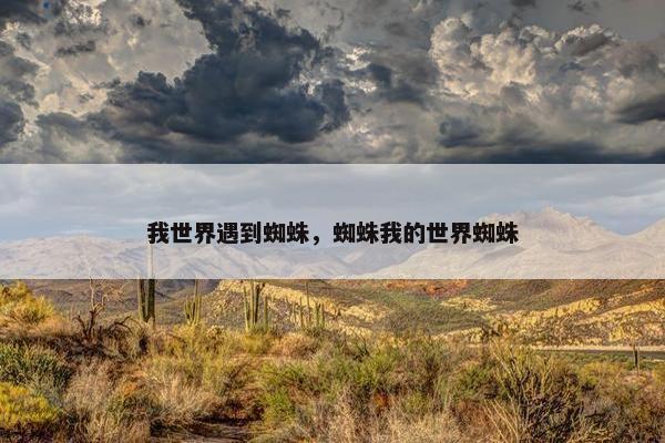我世界遇到蜘蛛，蜘蛛我的世界蜘蛛