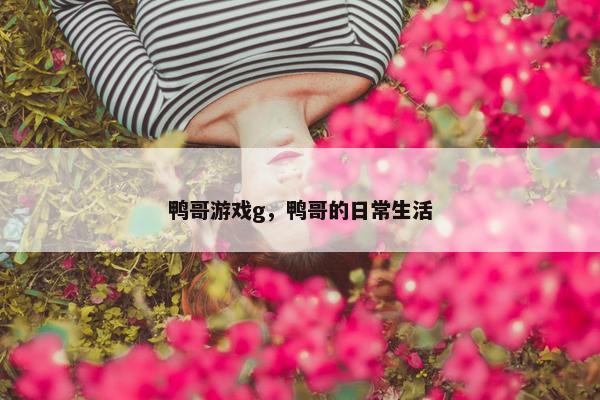 鸭哥游戏g，鸭哥的日常生活