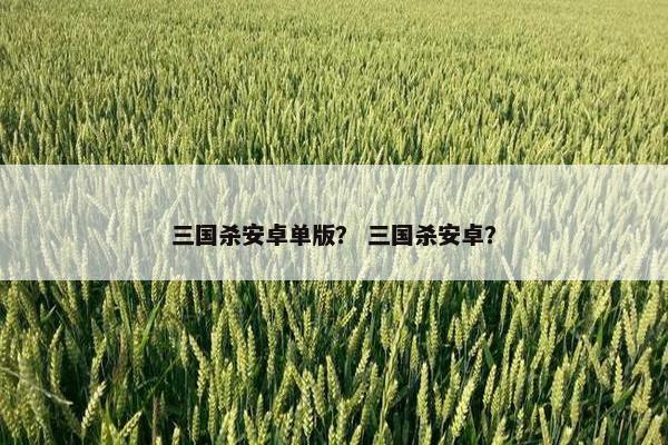 三国杀安卓单版？ 三国杀安卓？
