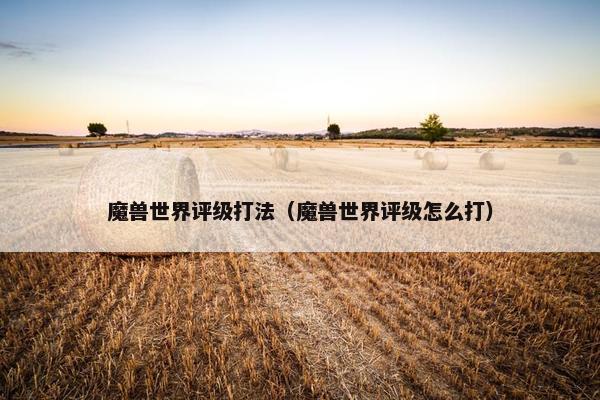 魔兽世界评级打法（魔兽世界评级怎么打）