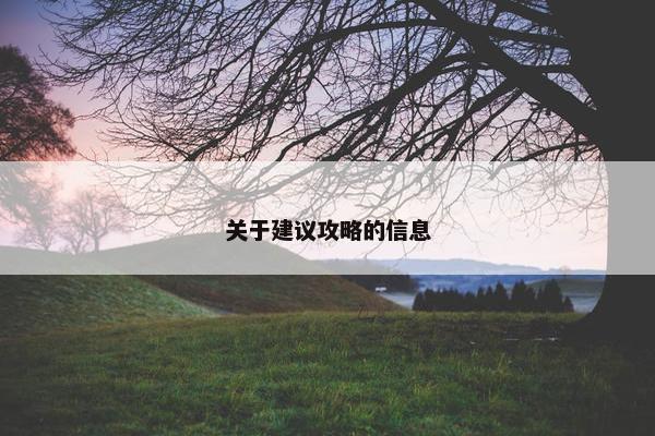 关于建议攻略的信息