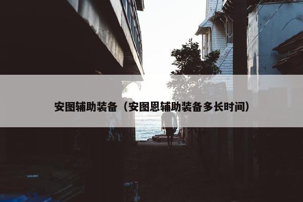 安图辅助装备（安图恩辅助装备多长时间）