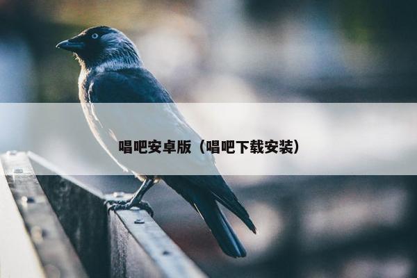 唱吧安卓版（唱吧下载安装）