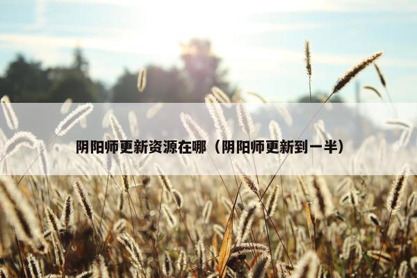 阴阳师更新资源在哪（阴阳师更新到一半）