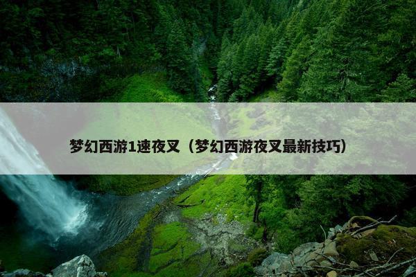 梦幻西游1速夜叉（梦幻西游夜叉最新技巧）