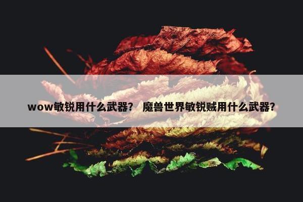 wow敏锐用什么武器？ 魔兽世界敏锐贼用什么武器？
