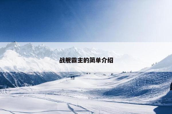 战舰霸主的简单介绍
