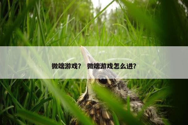 微端游戏？ 微端游戏怎么进？
