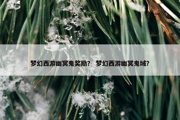 梦幻西游幽冥鬼奖励？ 梦幻西游幽冥鬼域？