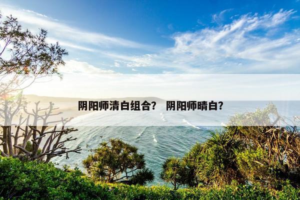 阴阳师清白组合？ 阴阳师晴白？