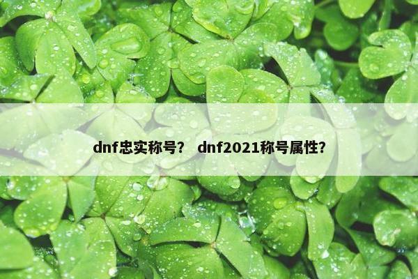 dnf忠实称号？ dnf2021称号属性？