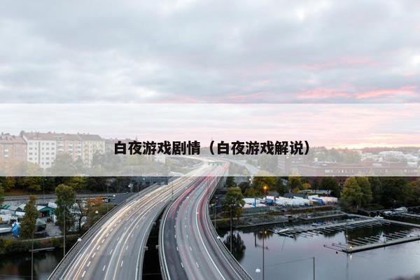 白夜游戏剧情（白夜游戏解说）