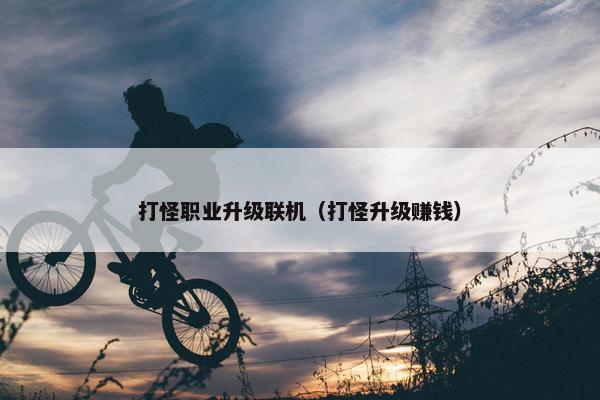 打怪职业升级联机（打怪升级赚钱）