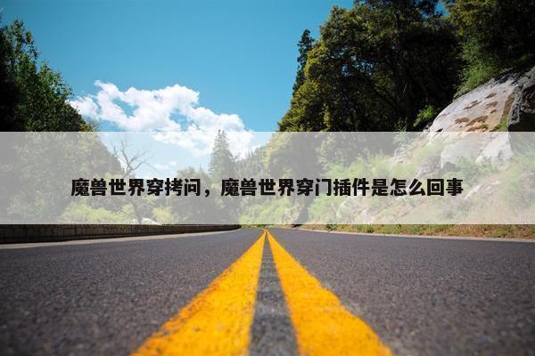 魔兽世界穿拷问，魔兽世界穿门插件是怎么回事