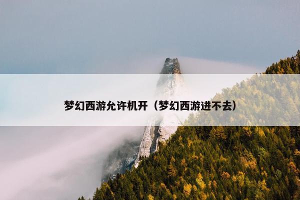 梦幻西游允许机开（梦幻西游进不去）
