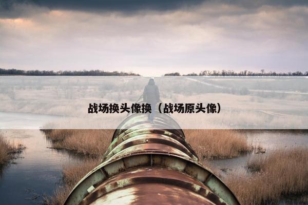 战场换头像换（战场原头像）