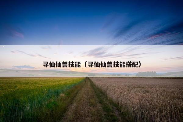 寻仙仙兽技能（寻仙仙兽技能搭配）