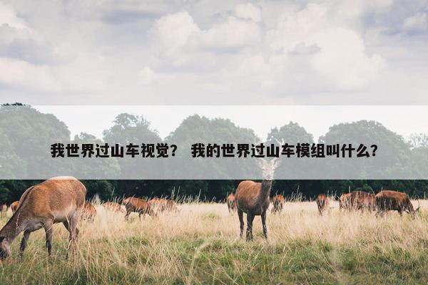 我世界过山车视觉？ 我的世界过山车模组叫什么？