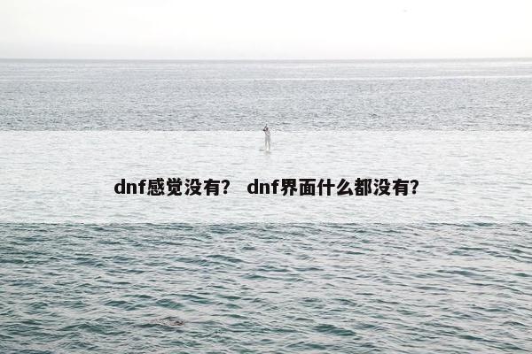 dnf感觉没有？ dnf界面什么都没有？