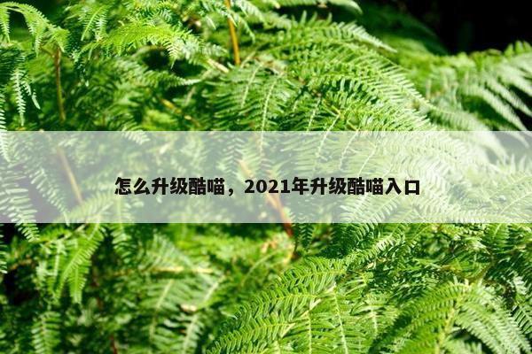 怎么升级酷喵，2021年升级酷喵入口