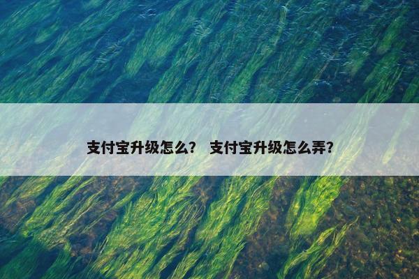 支付宝升级怎么？ 支付宝升级怎么弄？