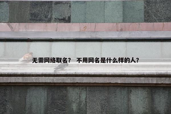 无需网络取名？ 不用网名是什么样的人？