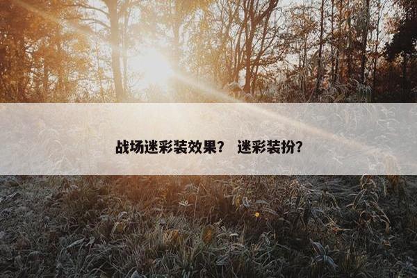 战场迷彩装效果？ 迷彩装扮？