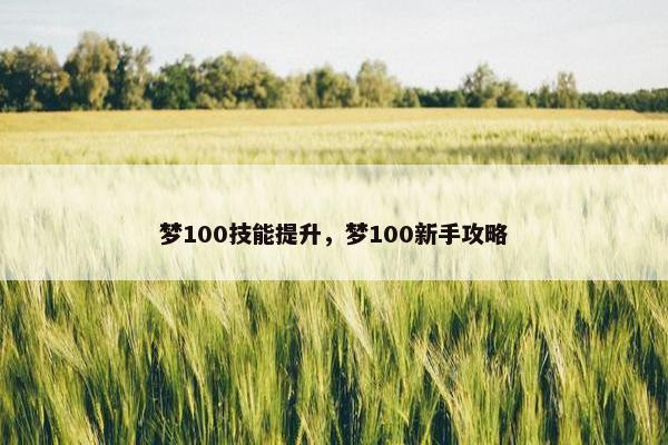 梦100技能提升，梦100新手攻略