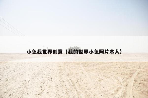 小兔我世界创意（我的世界小兔照片本人）