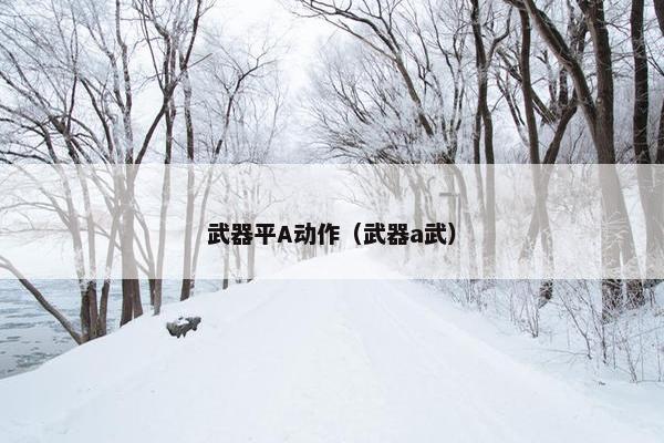 武器平A动作（武器a武）