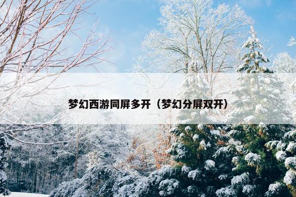 梦幻西游同屏多开（梦幻分屏双开）