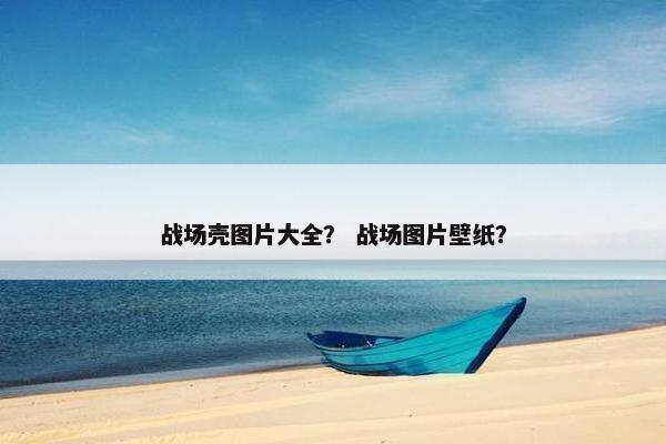 战场壳图片大全？ 战场图片壁纸？