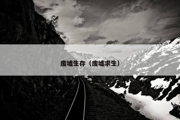 废墟生存（废墟求生）