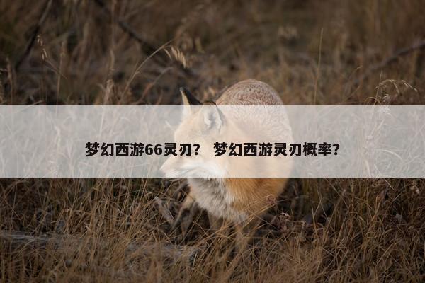 梦幻西游66灵刃？ 梦幻西游灵刃概率？