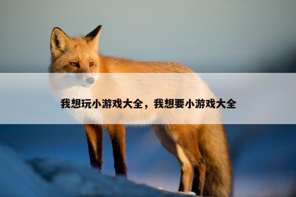 我想玩小游戏大全，我想要小游戏大全