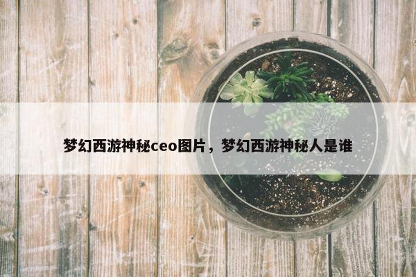 梦幻西游神秘ceo图片，梦幻西游神秘人是谁