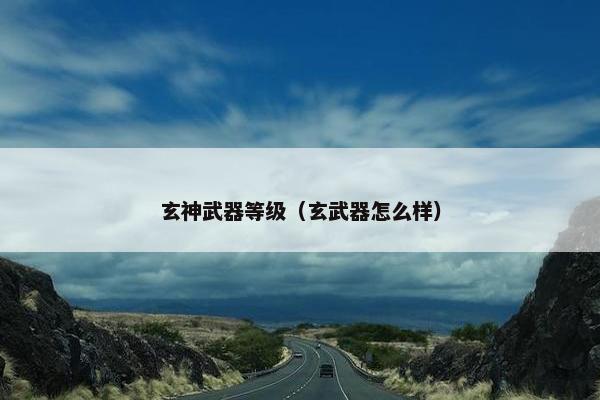 玄神武器等级（玄武器怎么样）
