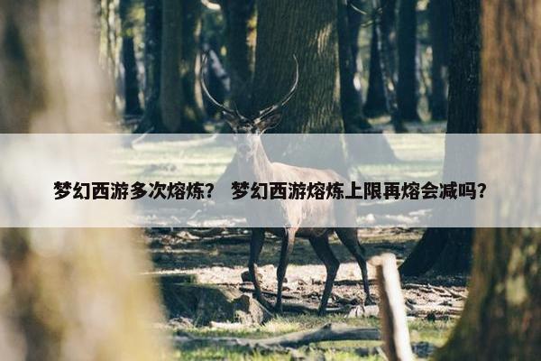 梦幻西游多次熔炼？ 梦幻西游熔炼上限再熔会减吗？